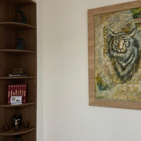 Вилла Casa Mountain View Брашов Экстерьер фото