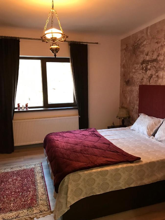 Вилла Casa Mountain View Брашов Экстерьер фото