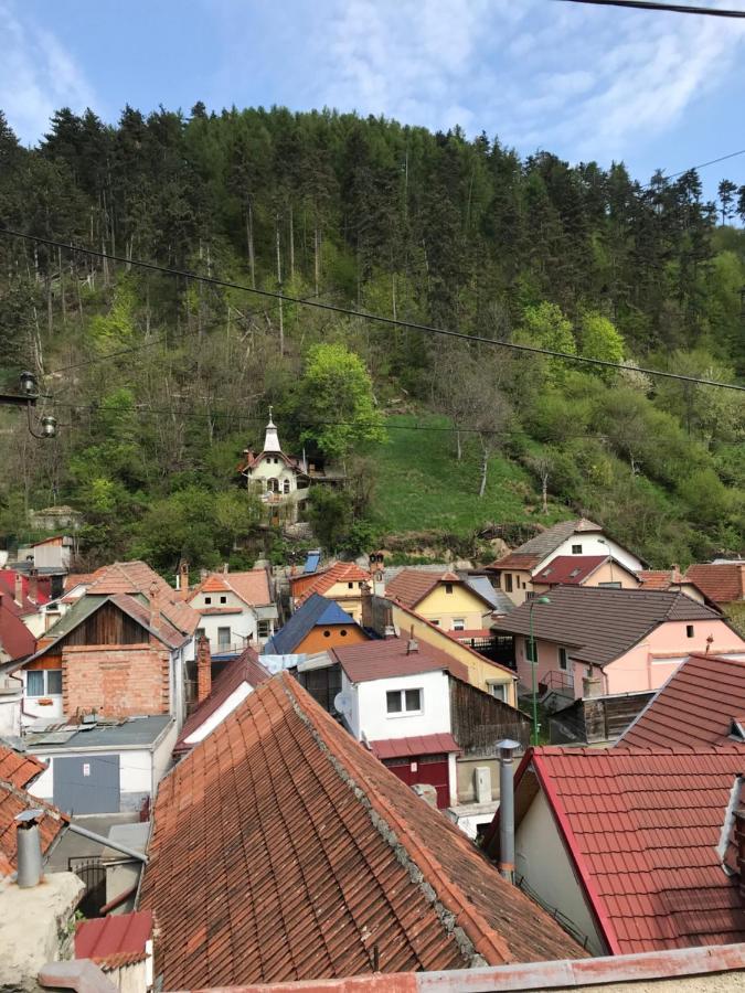 Вилла Casa Mountain View Брашов Экстерьер фото