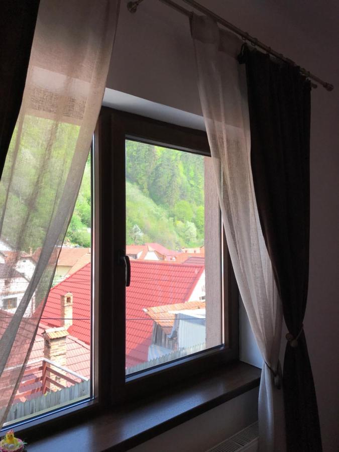 Вилла Casa Mountain View Брашов Экстерьер фото