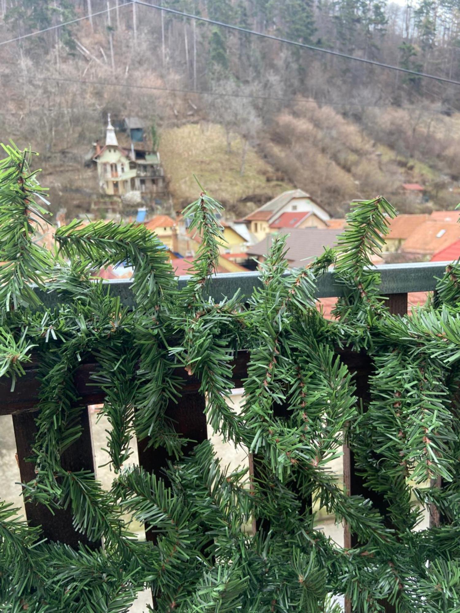 Вилла Casa Mountain View Брашов Экстерьер фото
